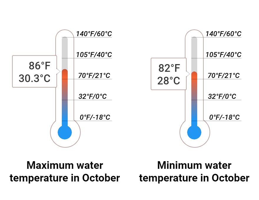 Average Sea temperature